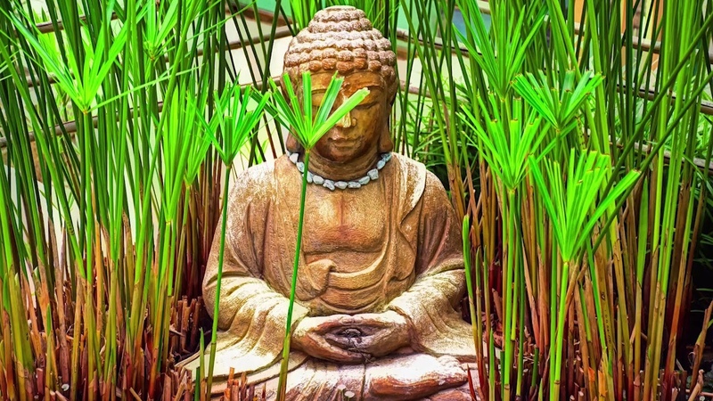 BANSURI FLUTE MEDITATION MUSIC, SERENE