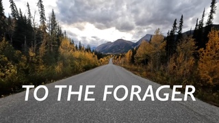 Tom Rosenthal - To The Forager (Lyrics)