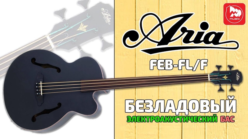 Безладовая акустическая бас гитара ARIA FEB FL,