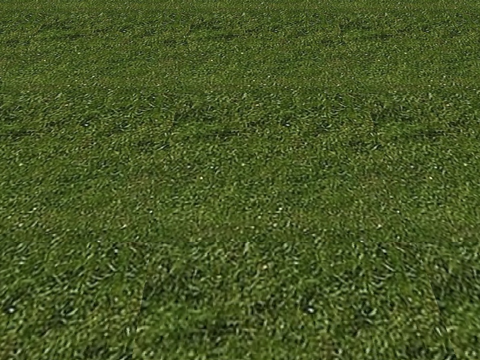 E Grass 1