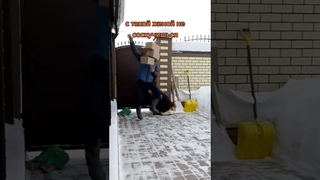 Жена-собака напугала мужа
