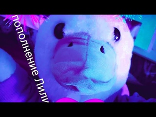 у нас пополнение // Лилия❤‍🔥// и //Бима моя собака 🐶///