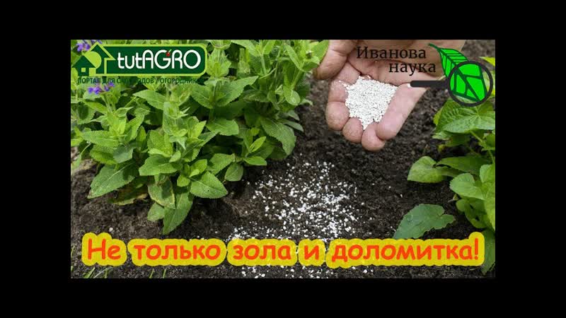 БЕЗ ЗОЛЫ и ДОЛОМИТКИ. Раскисляющая быстрая подкормка.