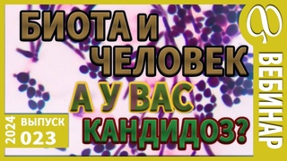 Лечение мылом. Суставы. Мгновенное исцеление. Системный кандидоз. Скинуть вес. Биота, белки, жиры.