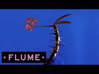 Flume - Hyperreal feat. Kuka