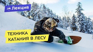 Фрирайд на сноуборде: техника катания в лесу
