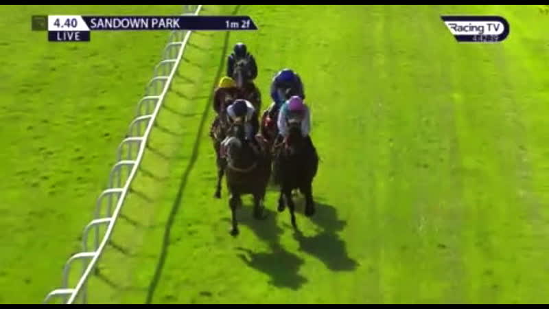 Sandown Park 23 Apr 2021