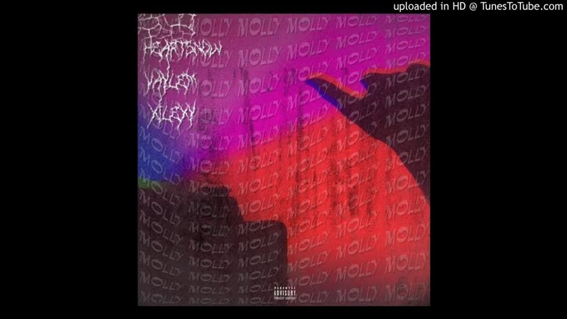 HEARTSNOW x VAYLEM Ralph Lauren ( Remix by