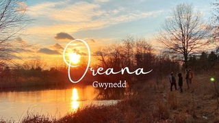 Oreana - Gwynedd EP (2023)