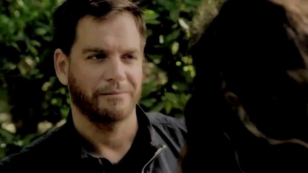 Tony Ziva, Dynasty
