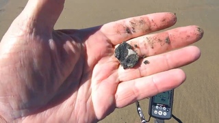 Beach Metal Detecting Newport Beach California