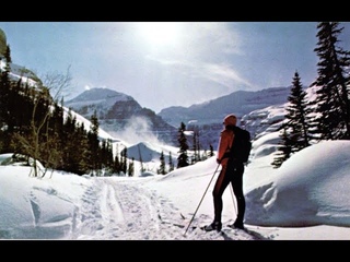 THIS is Cross-Country!