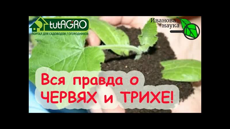 В ОДНОМ ФЛАКОНЕ ПРАВДА О ЧЕРВЯХ И ТРИХОДЕРМЕ Самый лучший