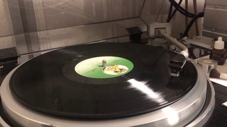 Tangerine Dream  Rubycon vinyl