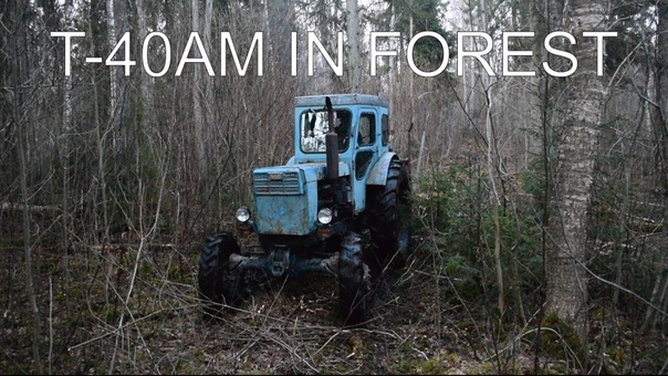 Tractor T 40 AM in forest