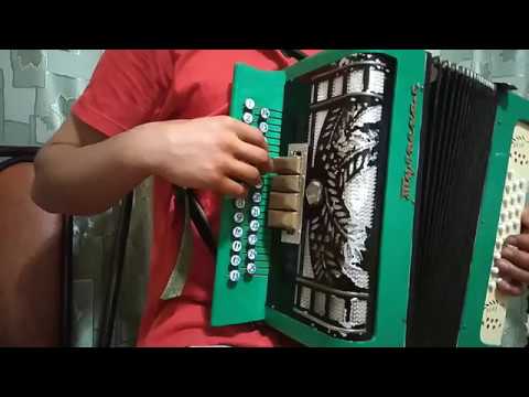 Чэчкэлэрнен нигэ текст. Разбор татарских песен. Гармунчыга текст песни. Татарский гармонист. Разбор песен на гармони.