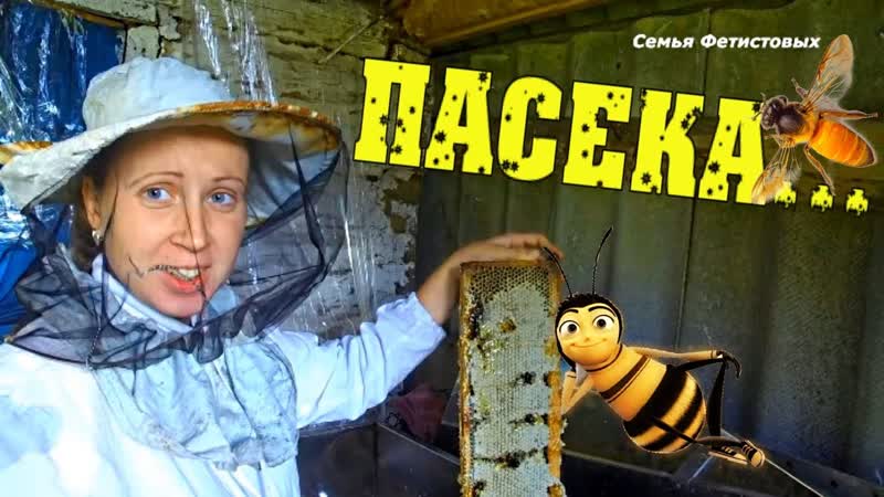 Зарисовки с пасеки в деревне, Семья