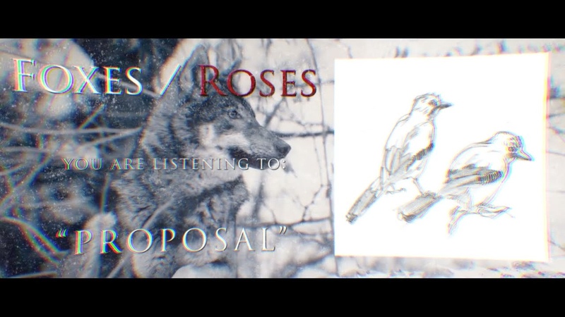 Foxes, Roses Proposal ( Official Video)
