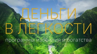 ДЕНЬГИ В ЛЕГКОСТИ. ПРОГРАММЫ ИЗОБИЛИЯ И БОГАТСТВА