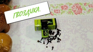 УДИВИТЕЛЬНАЯ ГВОЗДИКА в борьбе с комарами! РЕКОМЕНДУЮ!