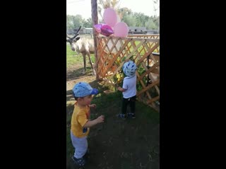 Арлан и Муслик