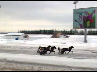 5 03 16   4 Заезд Приз в честь Международного Женского Дня 8 марта