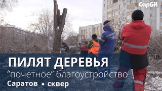 Для стелы Город трудовой доблести пилят деревья в сквере
