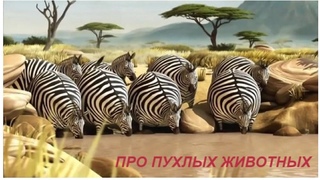 МУЛЬТФИЛЬМ ПРО ПУХЛЫХ ЖИВОТНЫХ