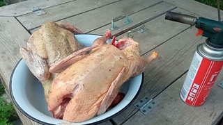 УТКИ. НЕВОЗМОЖНО вырастить НЕ ЖИРНЫХ уток ЛЮБОЙ ПОРОДЫ.