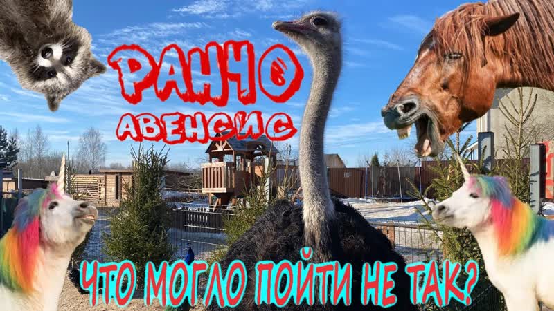 ВЛОГ: Ранчо Авенсис, Контактный зоопарк и прогулка на