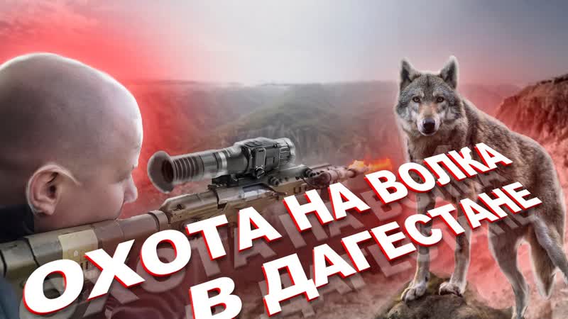Выстрел по ВОЛКУ на дне ущелья Охота на волков в
