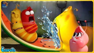 LARVA SEASON 1 EPISODE 165: ACCUMULATE WATER | CARTOON MOVIE TOP 50 EPISODE | CARTOON FOR KID