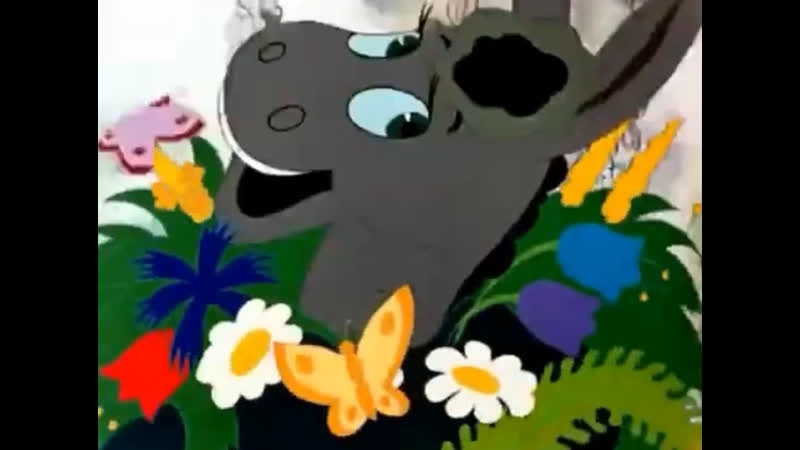 Видео от Elena