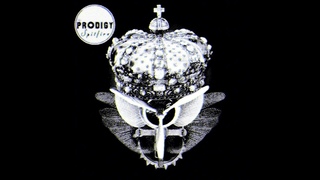 The Prodigy - Spitfire ($ Mix/True Mix)
