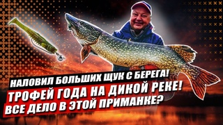 Наловил больших щук с берега! Дело только в приманке Спиннинг в ноябре: поймал главный трофей года
