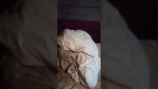 Вот  где оказывают помощь алкоголикам и  наркозовисимым