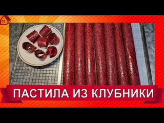 Как готовить ПАСТИЛУ ИЗ КЛУБНИКИ  в Домашних Условиях Без Сахара в Сушилке Клубничное лакомство.