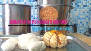 Моцарелла, Скаморца, Косичка / Проверенный способ сделать ВЫТЯЖНОЙ  СЫР из козьего молока