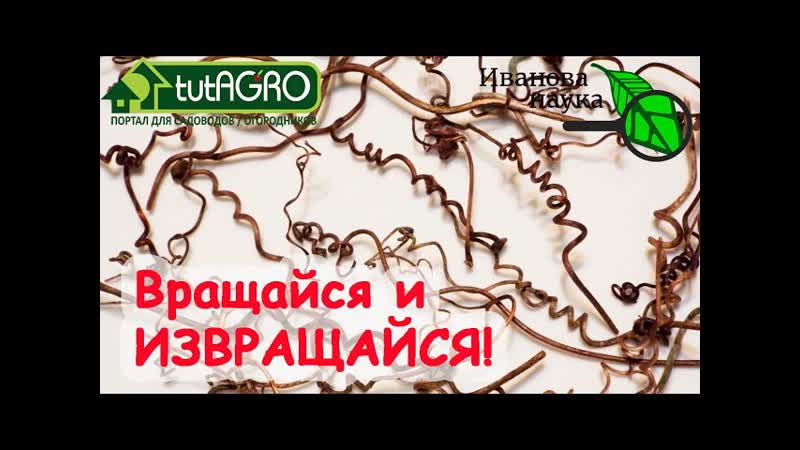 НАУЧНАЯ ПЯТНИЦА. ИЗВРАЩЕНИЯ В САДУ. Это гораздо ИНТЕРЕСНЕЕ,
