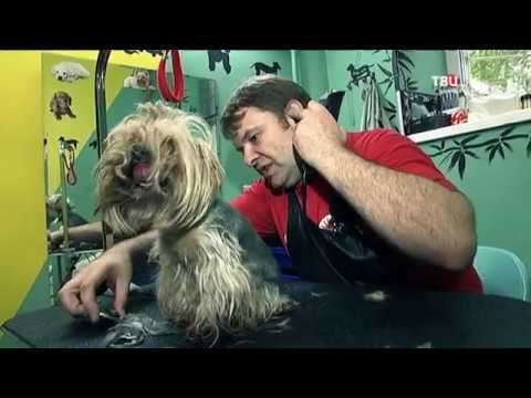 Курсы обмана. Осторожно,
