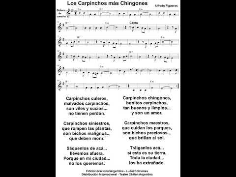 Los Carpinchos más Chingones Midi Bolero de Cancha Alfredo