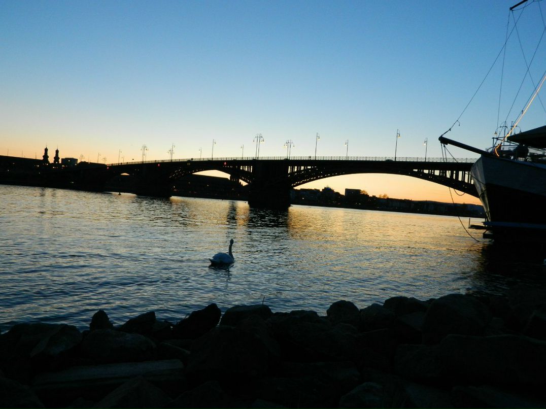 Уляна Халавка | 