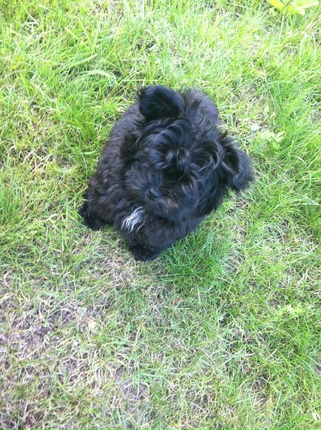 №64, Нютка Туманова, 13.01, Санкт-Петербург №64, Нютка Туманова, 13.01, Санкт-Петербург