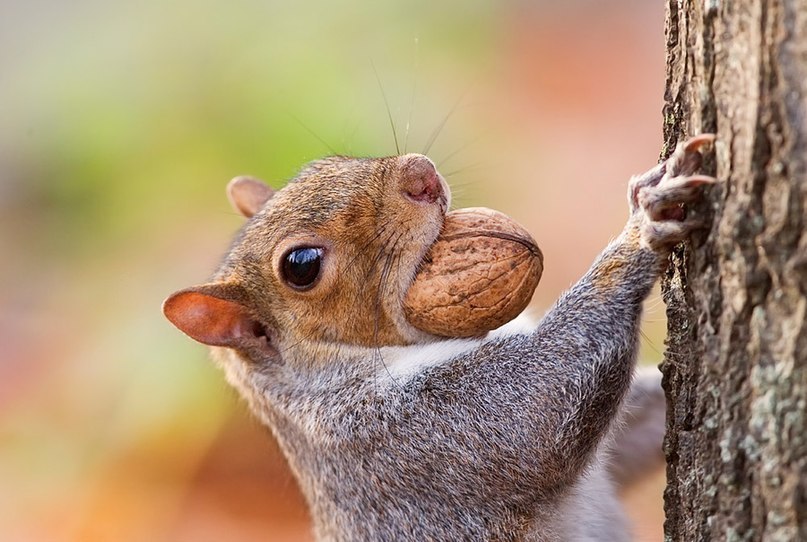 Ира Могильникова | | Москва