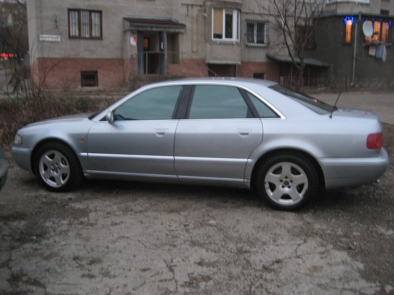 Назар Михайлишин | Черновцы