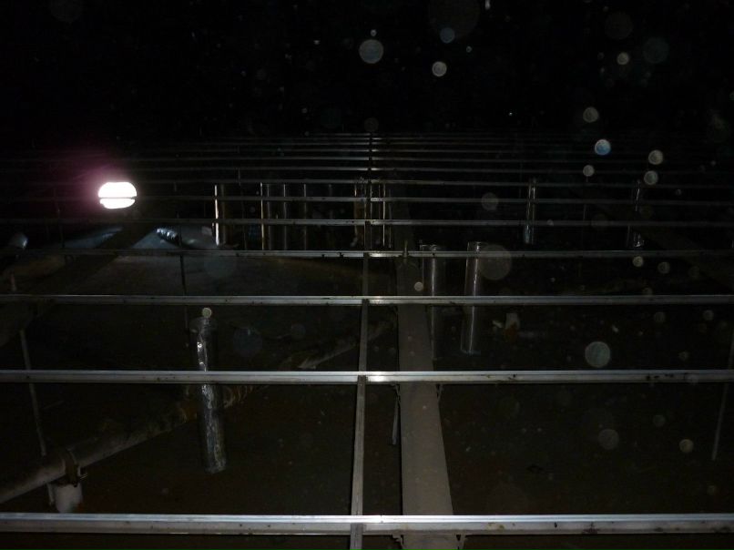 Михаил Кочнев | Канск