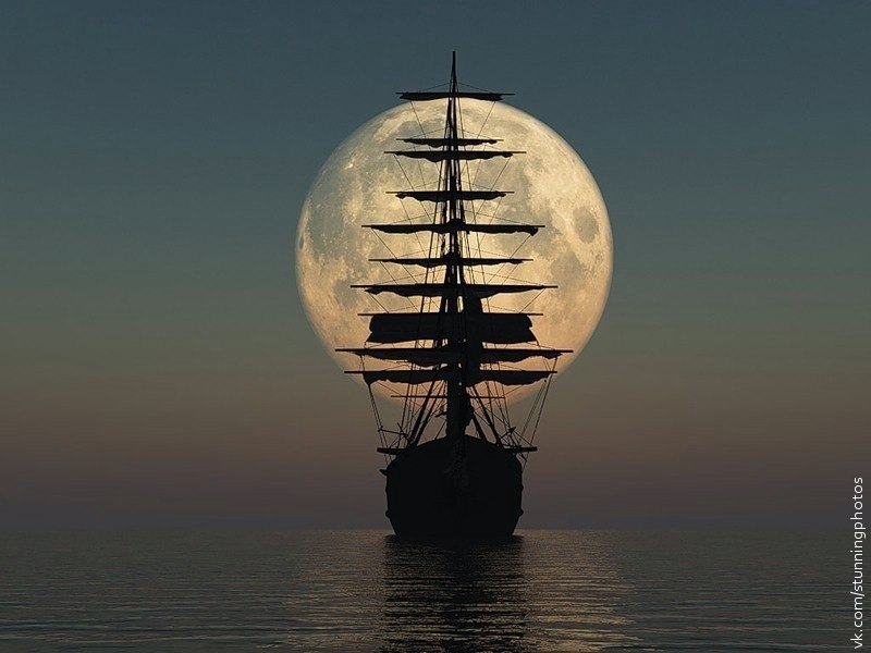 Дарья Орлова | Москва