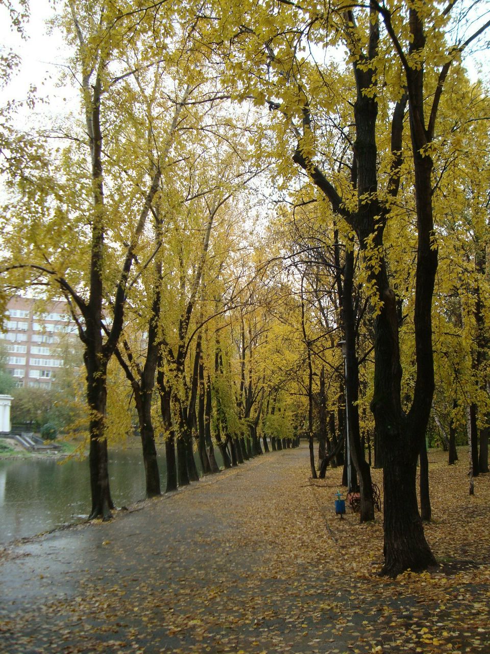 Ирина Хонина | Екатеринбург