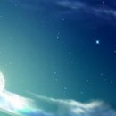 №126, Валюша Боровская, Житомир №126, Валюша Боровская, Житомир