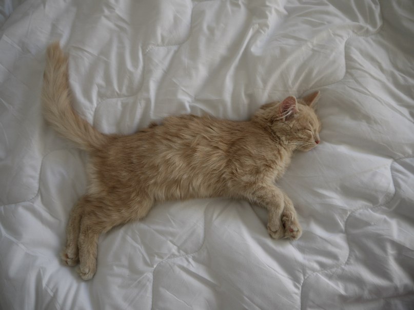 Евгений Евдокимов | Тюмень